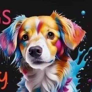 Meet your Posher, Shonda